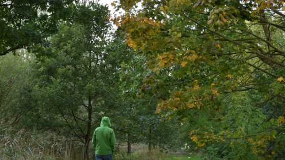 Man op wandel in het Lettenhofpark in Zwevegem