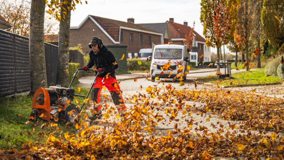 Vacature groen en natuur