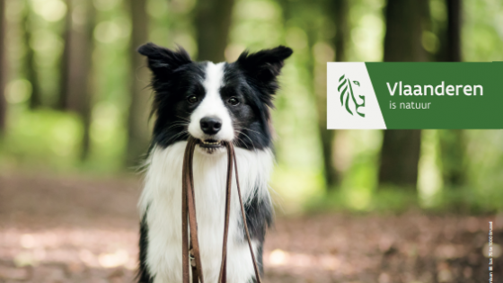 campagnebeeld agentschap natuur & bos hond aan de lijn 2022