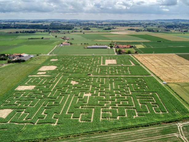 maislabyrint sint-denijs